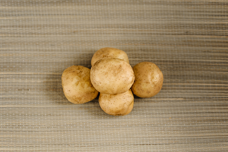 Посадочный картофель сорт Лина