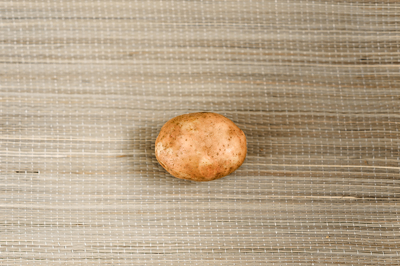 Семенной картофель Свитанок Киевский