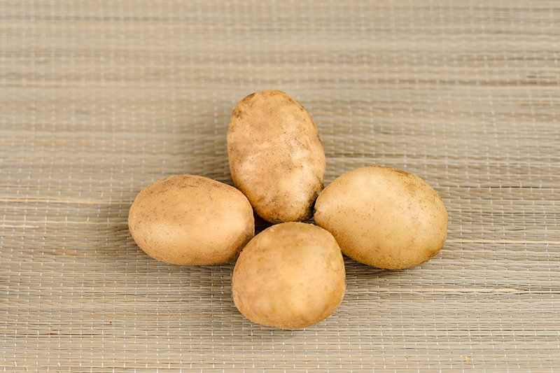 Посадочный картофель сорт Тулеевский