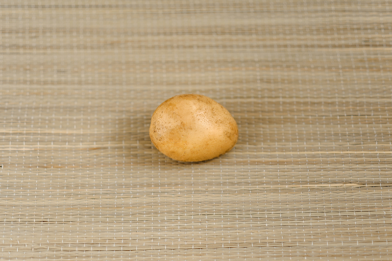 Семенной картофель Тулеевский