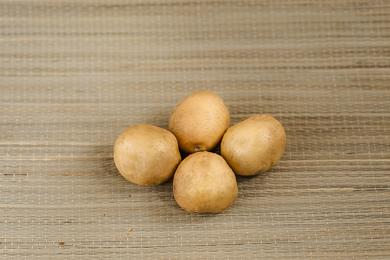 Посадочный картофель сорт Златка