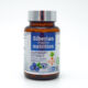 Фитопрепарат для поддержки зрения BLUEBERRY EXTRACT