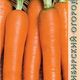 Морковь Берликум Роял семена 2г