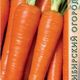 Морковь Королева осени семена 2г