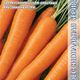 Морковь Фэнси семена 1г