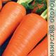 Морковь Шантенэ 2461 семена 2г