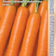 Морковь Натургор семена 2г
