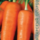 Морковь Ройал Шансон семена 1г