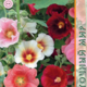 Семена Шток-роза Ореол 0,1г