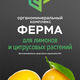 ОМК Ферма для лимонов и цитрусовых растений