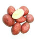 Клубни семенного картофеля Любава