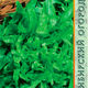 Листовой салат Дубачек МС семена 0,3г