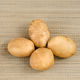 Клубни семенного картофеля Тулеевский