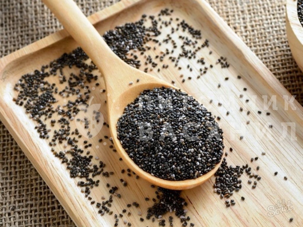 Семена Чиа черна�� для выращивания микрозелени, 50 г