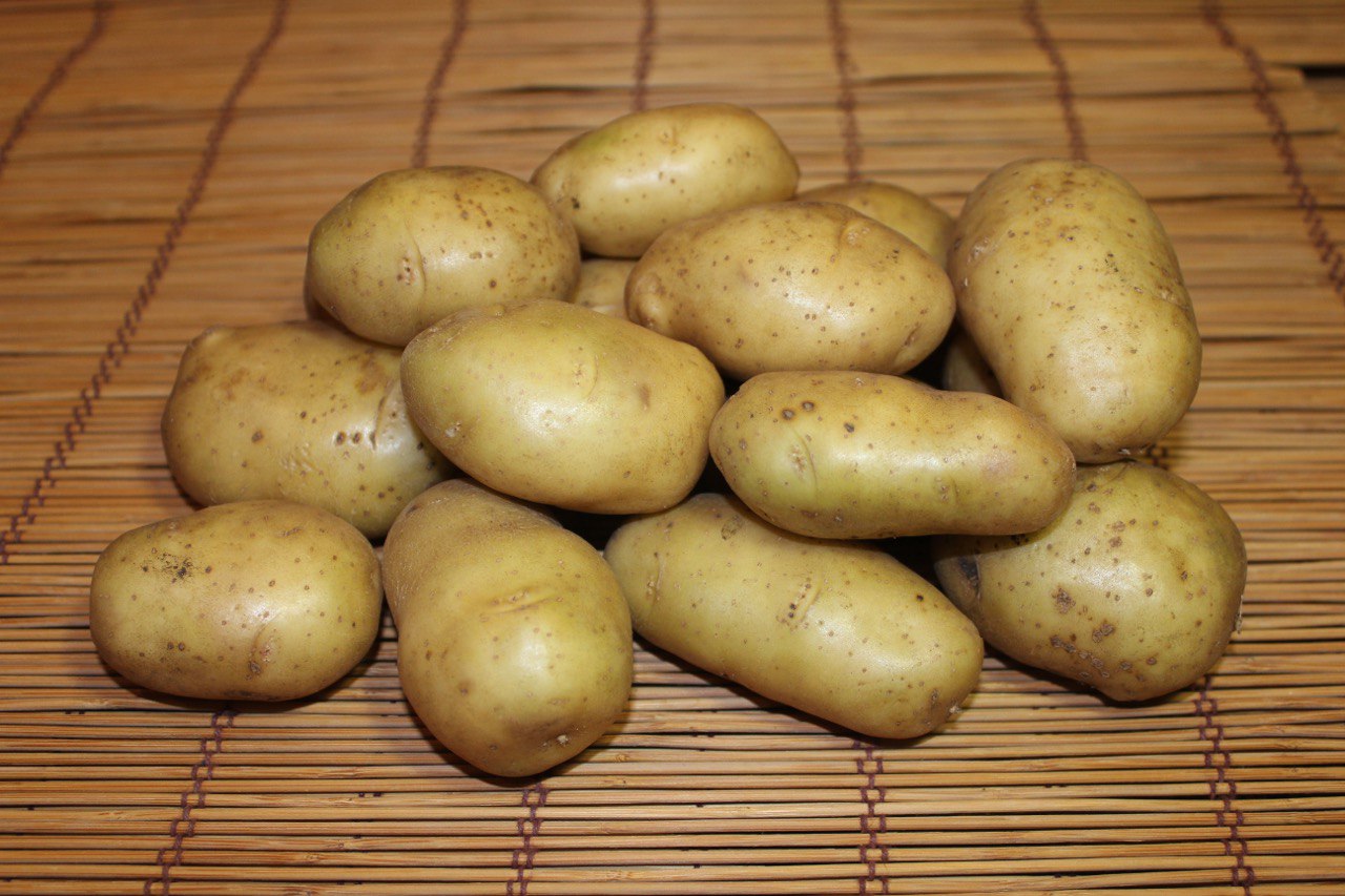 сорт картофеля фиолетовый характеристика отзывы фото