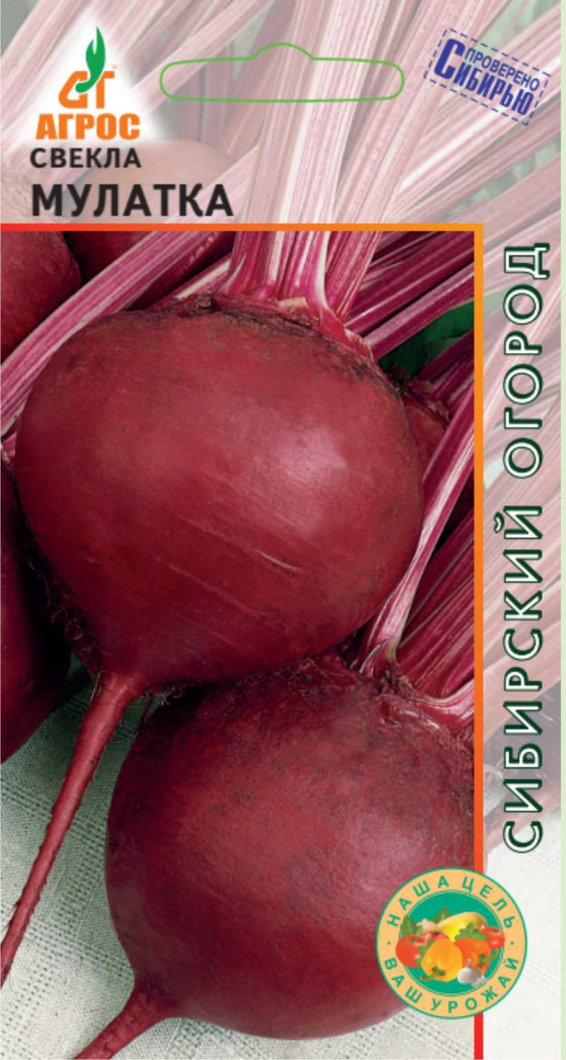 Свекла мулатка. Свекла мулатка (2 г) Агрос. Свекла мулатка (2г) Уральский. Л/свекла мулатка *2г (250). Свекла Агрос мулатка.