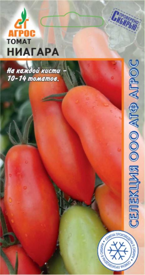 Томаты Ниагара Отзывы Фото