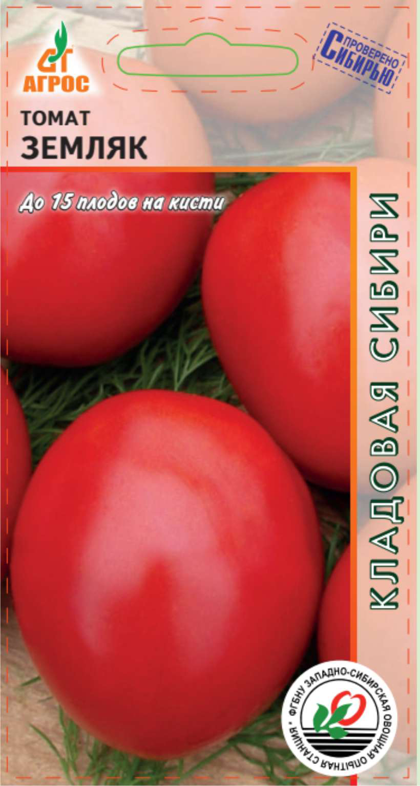 Томат земляк. Земляк томат Агрос. Аэлита томат земляк. Томат Жеронимо f1. Семена томат земляк.